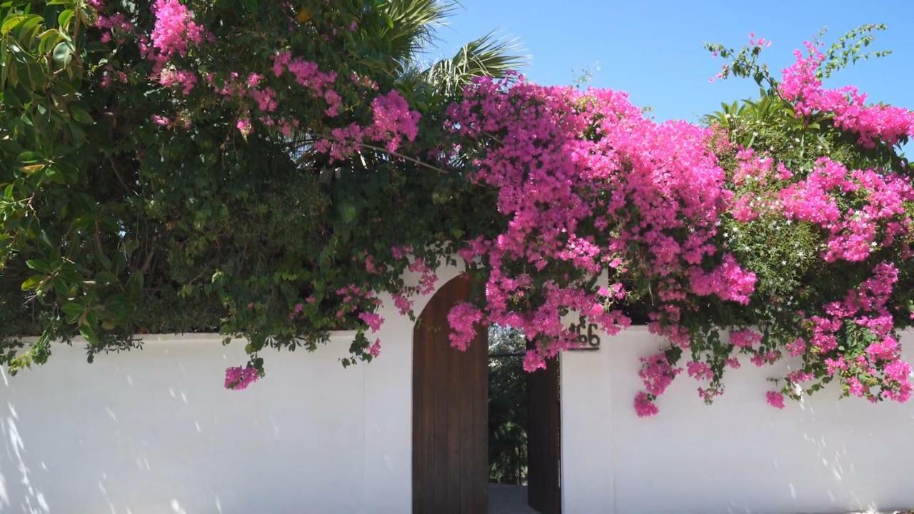 Alexiszorba Villa Πλάκα Εξωτερικό φωτογραφία