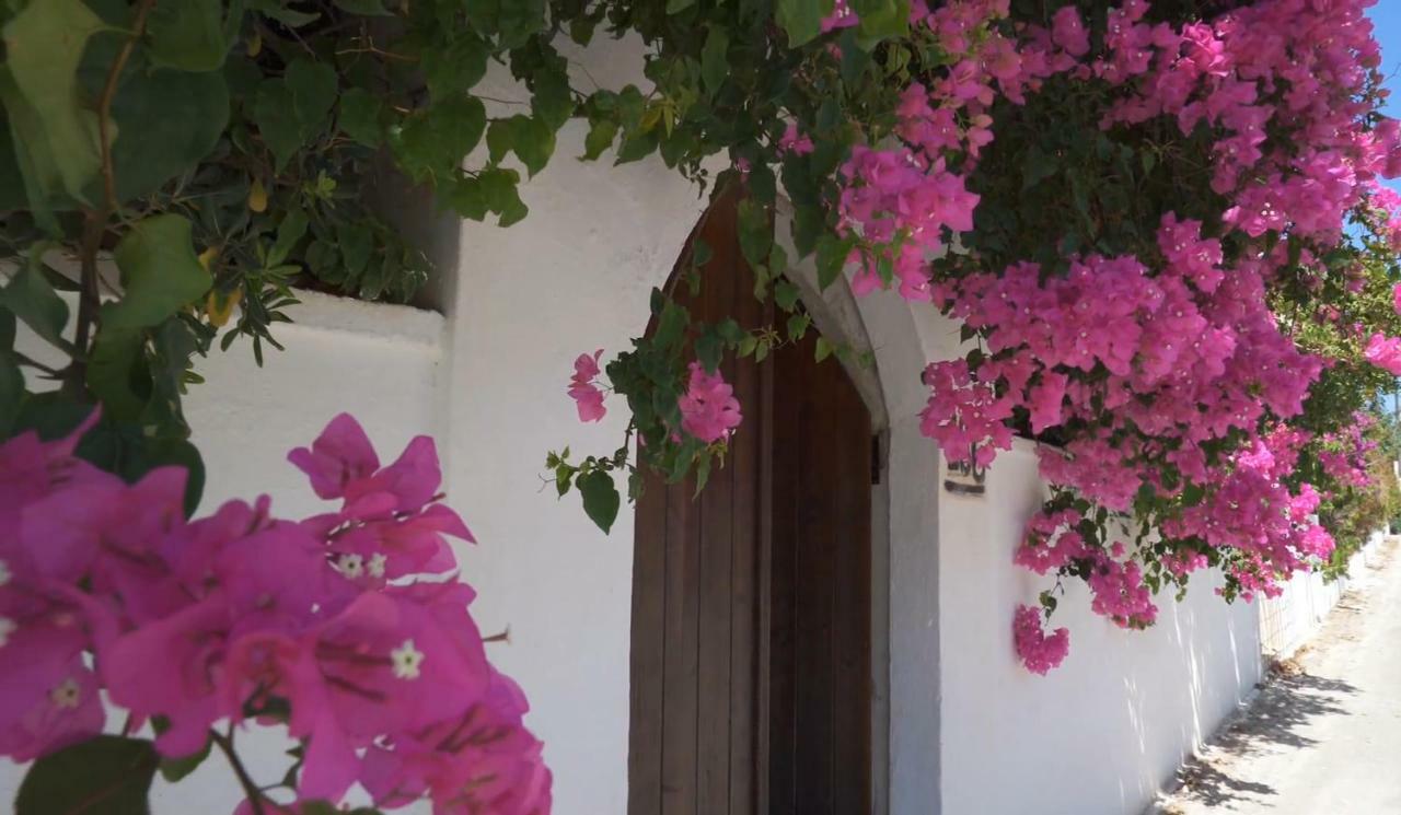 Alexiszorba Villa Πλάκα Εξωτερικό φωτογραφία